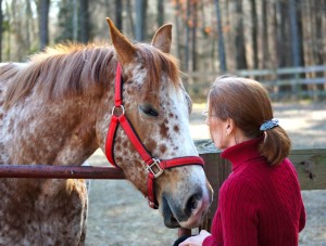 Peggy of Equessence with Dill.