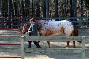 Dr. Susan Miller with Dill (Photo property of Peggy Norwood Stella, MA)