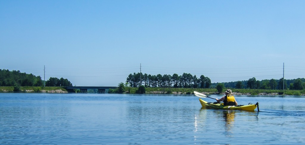 Taken at Beaver Dam Recreation Area at Falls Lake, NC. Photo property of S. Miller.