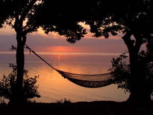 Beach Hammock